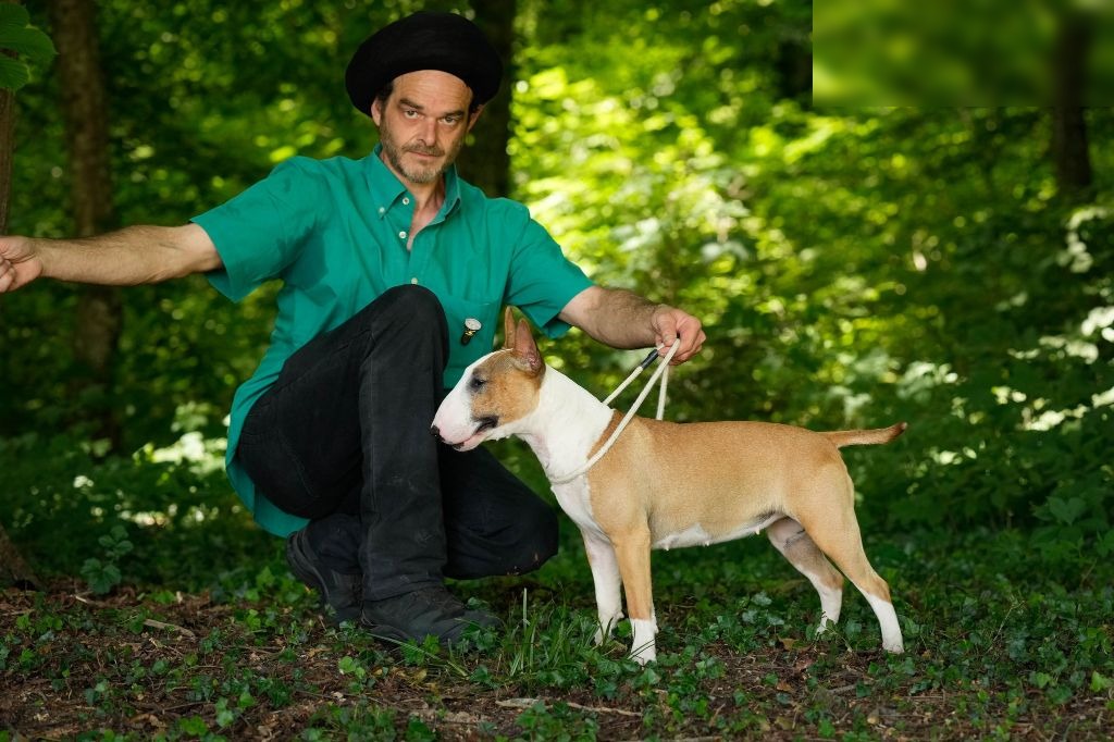 Ludovic Lubert, éleveur de Kingston-Corbières, présentant un de ses Bull Terriers